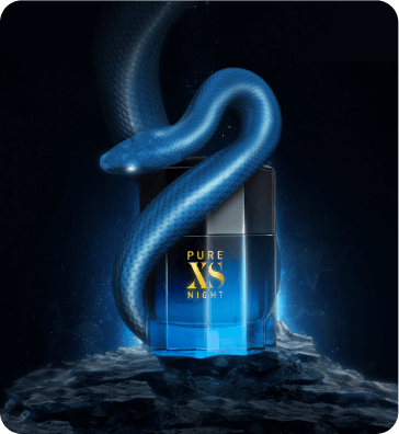 pure perfume branding - tek360